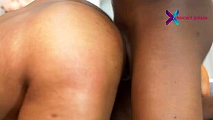 anaconda bbc pounds screaming ebony corporate slut doggystyle to creampie