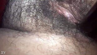 Amateur brunette spreads hairy pussy for vibe insertion close up