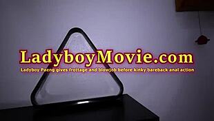 ladyboy paeng delivers intense frotage and deep blowjob leading to hardcore ass pounding.