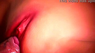 shaved pussy wrapped tight around cock for comfy sex doll fuck