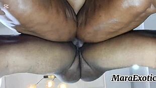 mara exotic's creamy ebony pussy backshots intrigue pov