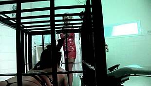 alexis silver michelle thorne big tits ffm bdsm threesome rocks me