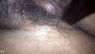 Amateur brunette spreads hairy pussy for vibe insertion close up