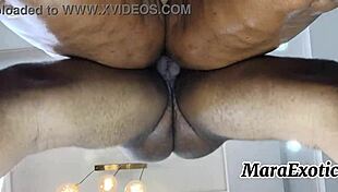 mara exotic's creamy ebony pussy backshots intrigue pov