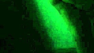 damn look at that gorgeous brunette's huge ass begging for it!