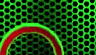 julia ann spreads her legs wide fingering wet clit to orgasm