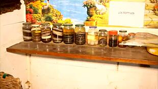 Caroline Sweets Stretched Wide by Monster BBC in Rough Interracial Missionary Pound