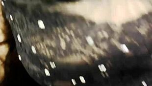 slipping under her lacy lingerie to tease that curvy figure in fishnets and skirt