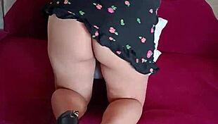 mi esposa embarazada me ruega por un polvo salvaje en la sala ahora