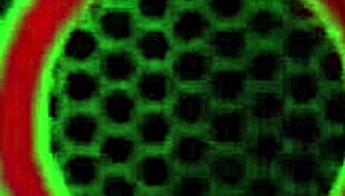 teal conrad and busty milf lick clits fuck with dildos in juicy big pussy lips lesbian show