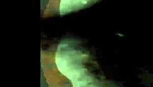 vintage erotic art showcases hairy beavers in retro style