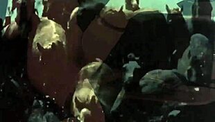 dark lantern entertainment uncovers vintage hairy beaver retro tits