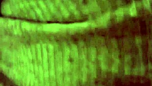 She loves boyfriend sucking views from everyone around