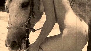 dark lantern entertainment uncovers vintage hairy beaver retro tits