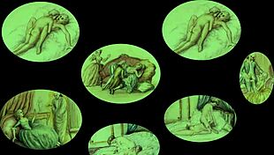 vintage erotic art showcases hairy beavers in retro style