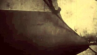 vintage erotic art showcases hairy beavers in retro style