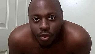 dog teach clean anus bathroom trick?