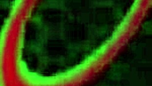 busty maxine x's twat and ass get stuffed by rome major 🍑💦😈