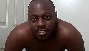 dog teach clean anus bathroom trick?