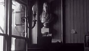 ever wondered about dark lantern's two centuries of vintage hairy lesbian pussy?