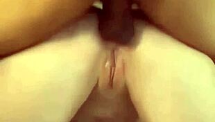 Bucetinha and Rosinha Cuzinho Pounded Doggy by Horny Hotwife Prostitute!