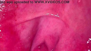 i finally film my pink shaved pussy 275 days after losing virginity close up