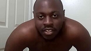 dog teach clean anus bathroom trick?