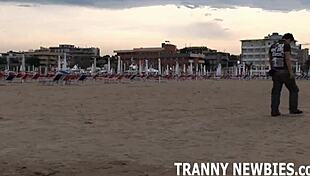 ever wondered how a shemale's thick cock feels sliding down your throat in a hot threesome?