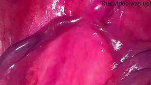 i finally film my pink shaved pussy 275 days after losing virginity close up