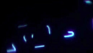 Can this babe handle big cock stretching?