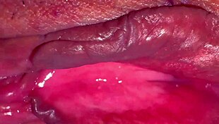 i finally film my pink shaved pussy 275 days after losing virginity close up