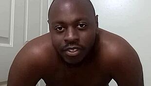 dog teach clean anus bathroom trick?