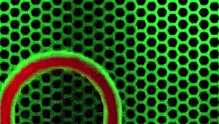 Prime Carmen Valentina Rides and Deepthroats Rome Major to Facial Cumshot