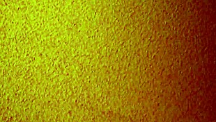 Asian Mature Hooker Offers Cheap Creampie in Brothel Room