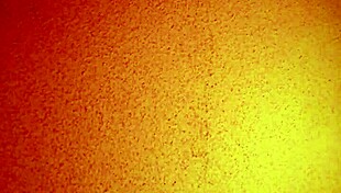 Asian Mature Hooker Offers Cheap Creampie in Brothel Room