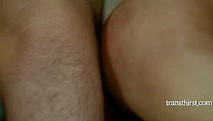 cliff jensen pounds cute ts ariel demure's ass in library?