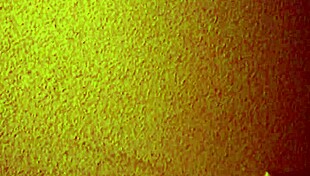 Asian Mature Hooker Offers Cheap Creampie in Brothel Room