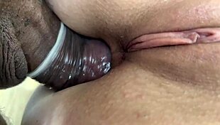 top anal sluts tease their holes in bgm's sizzling compilation one