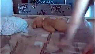 ever wondered what russian cam teens do when they get naughty on webcam?