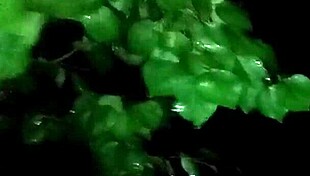 a mysterious forest witch cosplay sparks sudden outdoor camping thrill in nature's embrace