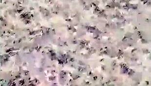 Sassy Chinese Streamer 3P Anal in Stockings Then Solo Climax