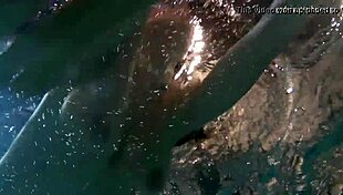 Katka Barbara's big tits bounce in underwater lesbian pussy play