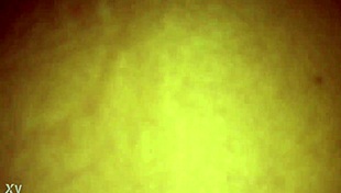 oh man, this hot nasty wet sex is driving me wild - wanna feel every dripping thrust?