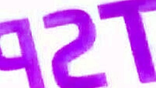 transsexual latina isabella fontanelli pounds slutty girlfriend's pussy and ass bareback