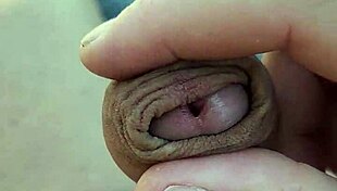 i'm stroking my cock relaxed in the shade on a sun lounger