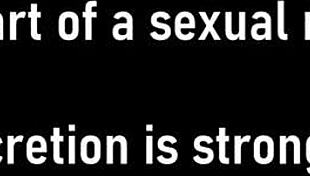 i can't resist stacy shepard during her welfare check backstage