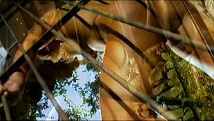 Ju Pantera And Girlfriend Share Steamy Bedroom Anal Fingering Session