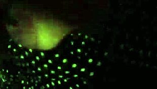 What mess on the way to the shoot with victoria dias and rob carvalho?