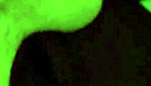 😍 early morning deepthroat gagging on cock then swallowing every drop! rough lover tease 😘💦