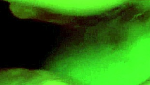 😍 early morning deepthroat gagging on cock then swallowing every drop! rough lover tease 😘💦